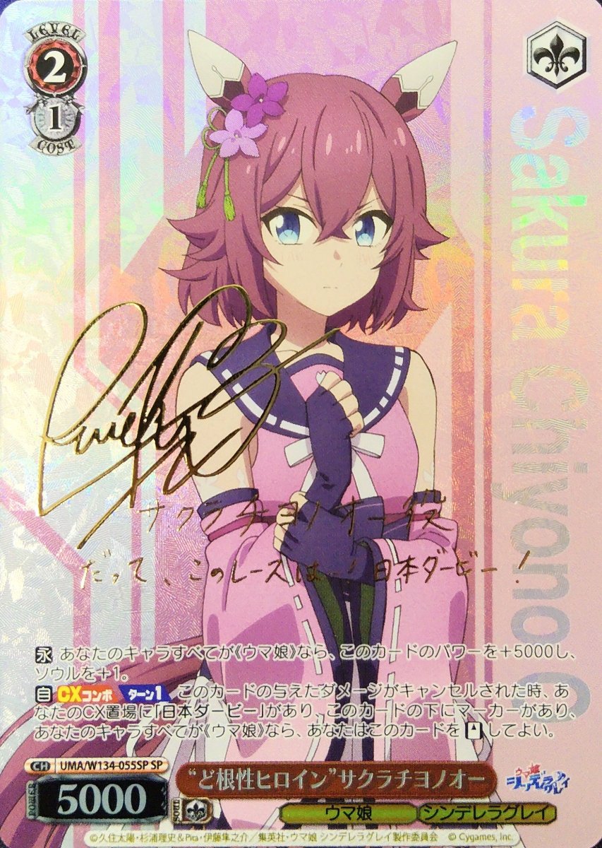 画像1: “ど根性ヒロイン”サクラチヨノオー(SP) (1)