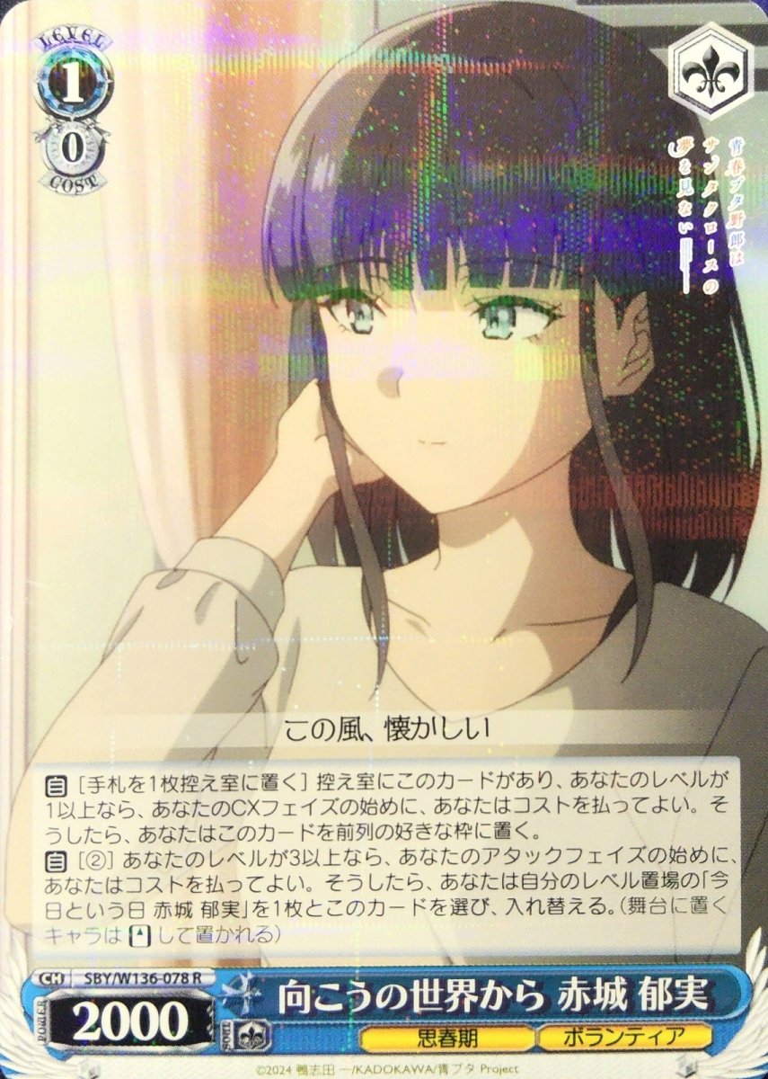 画像1: 向こうの世界から 赤城 郁実 (SBY/W136-078) - R (1)