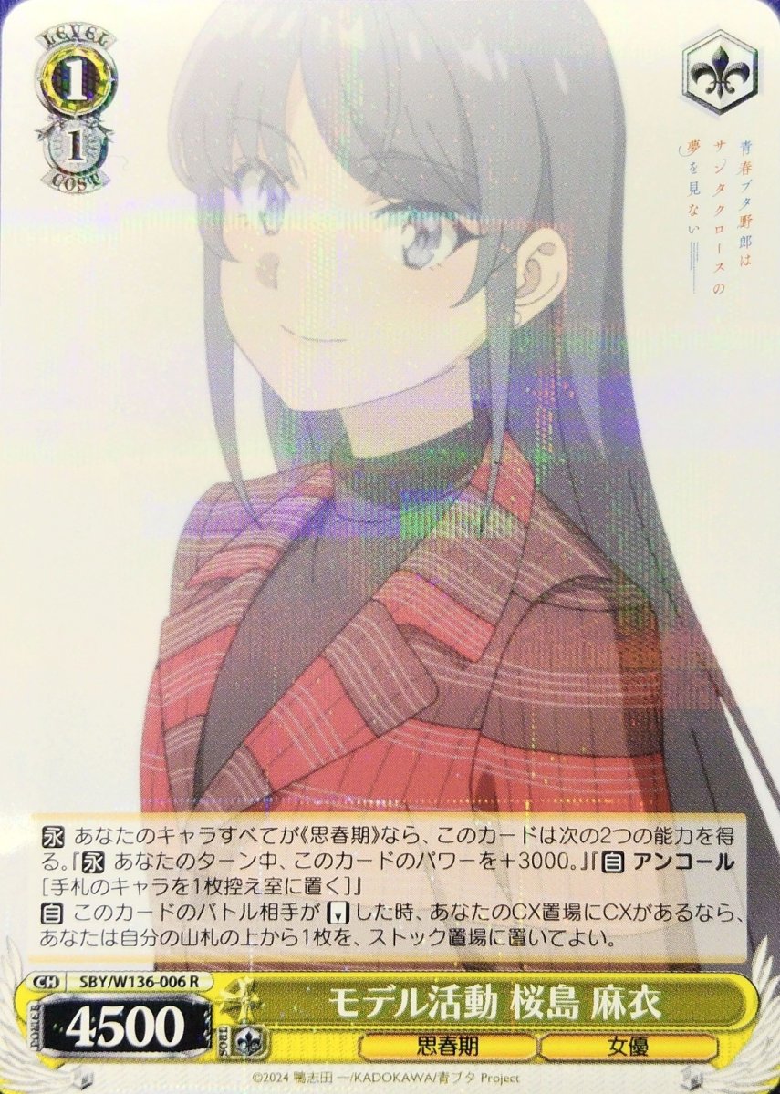 画像1: モデル活動 桜島 麻衣 (SBY/W136-006) - R (1)