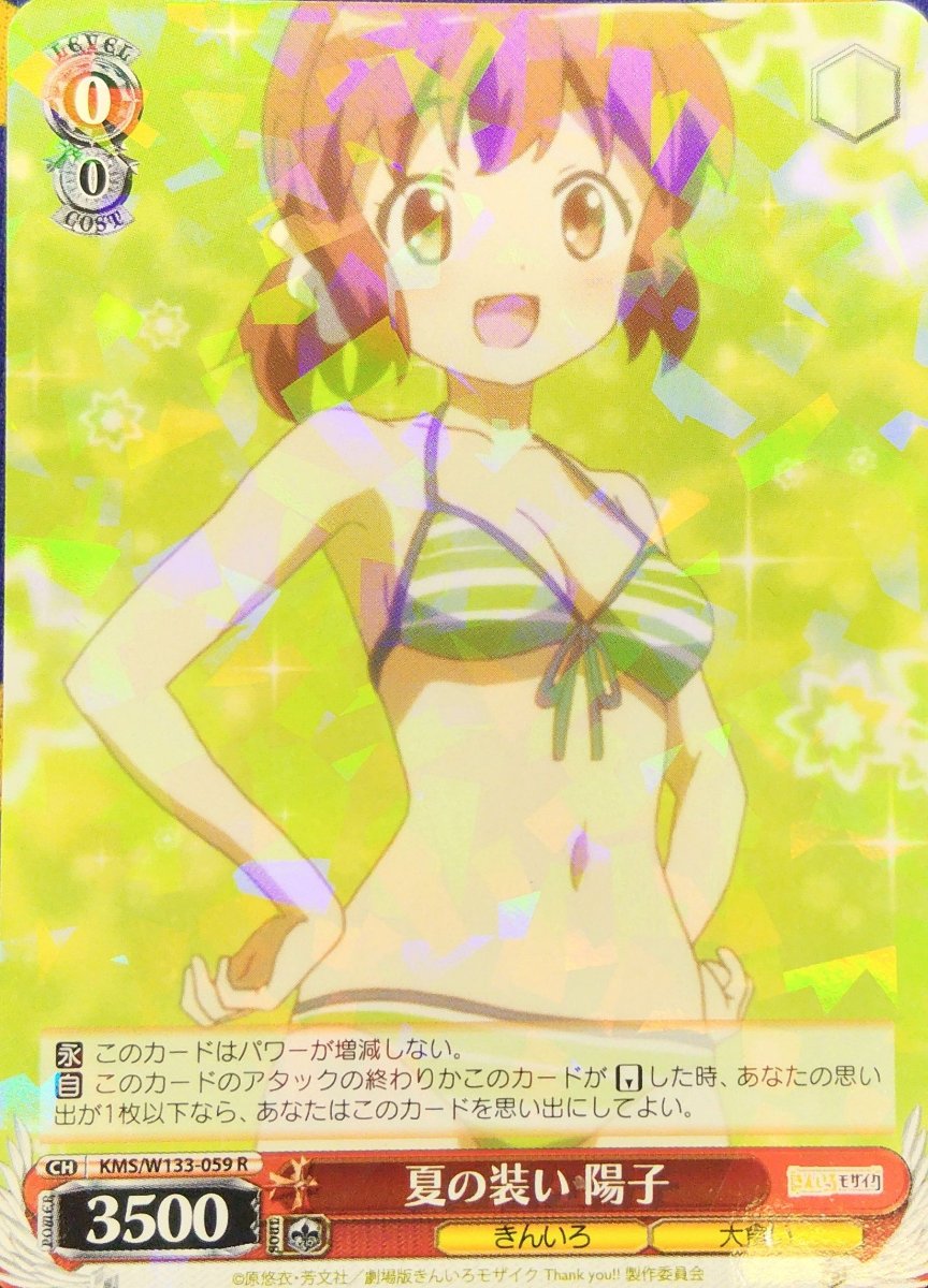 画像1: 夏の装い 陽子 (KMS/W133-059) - R (1)