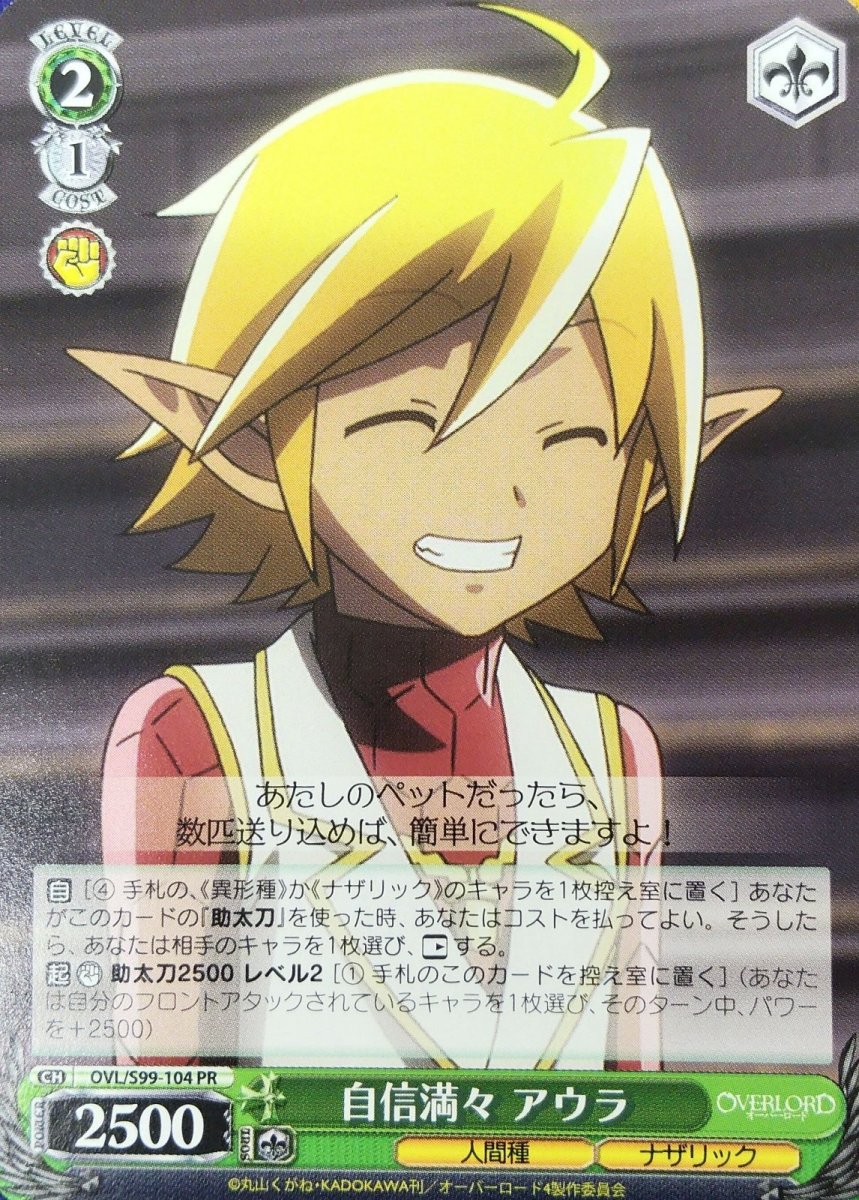 画像1: 自信満々 アウラ (OVL/S99-104) - PR (1)