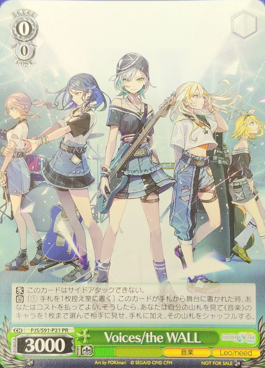 画像1: Voices/the WALL (PJS/S91-P21) - PR (1)