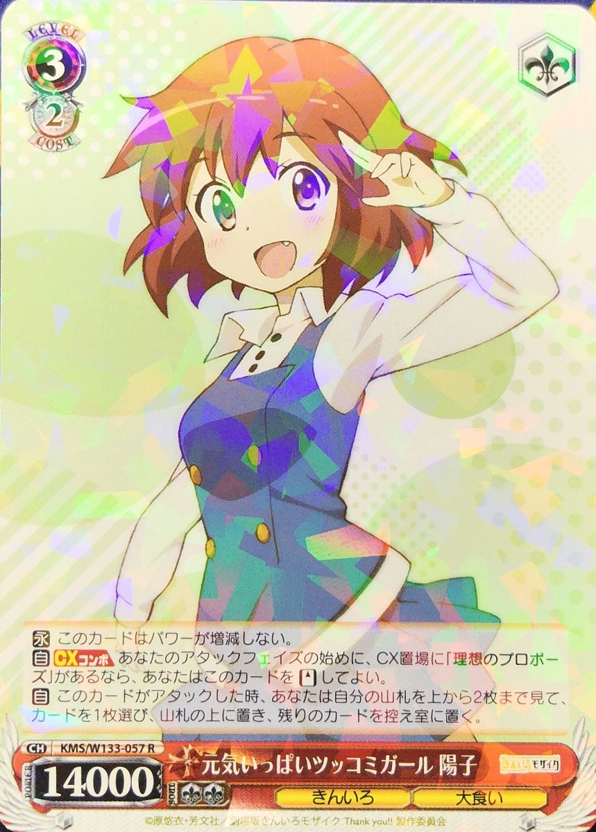 画像1: 元気いっぱいツッコミガール 陽子 (KMS/W133-057) - R (1)