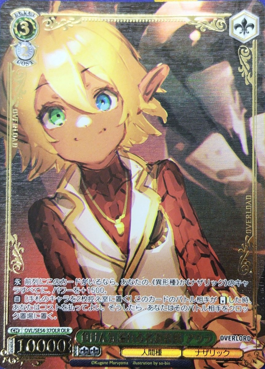 画像1: 負けん気溢れる名調教師 アウラ (OVL/SE54-37OLR) - OLR (1)