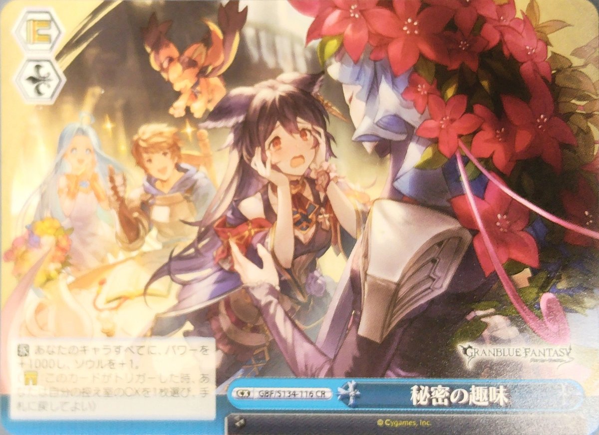 画像1: 秘密の趣味 (GBF/S134-116) - CR (1)
