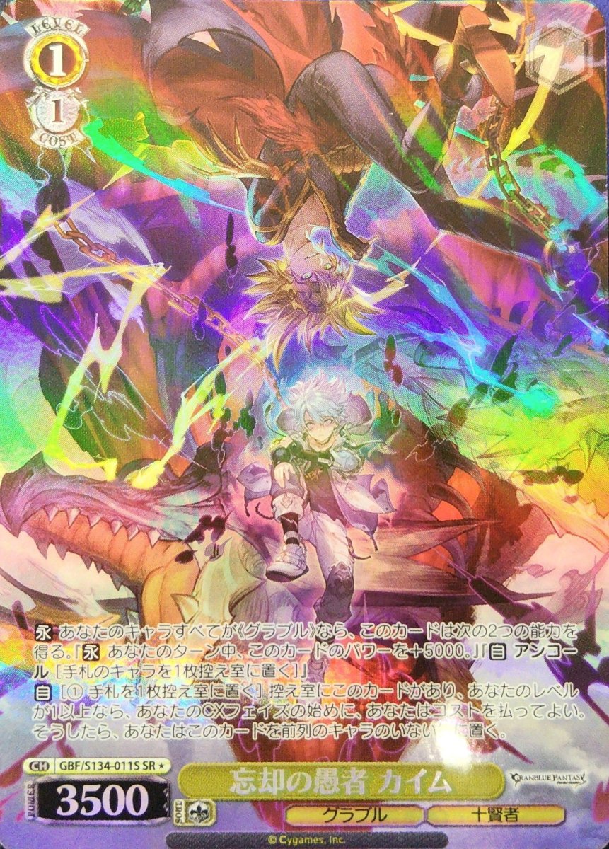 画像1:  忘却の愚者 カイム (GBF/S134-011S) - SR (1)