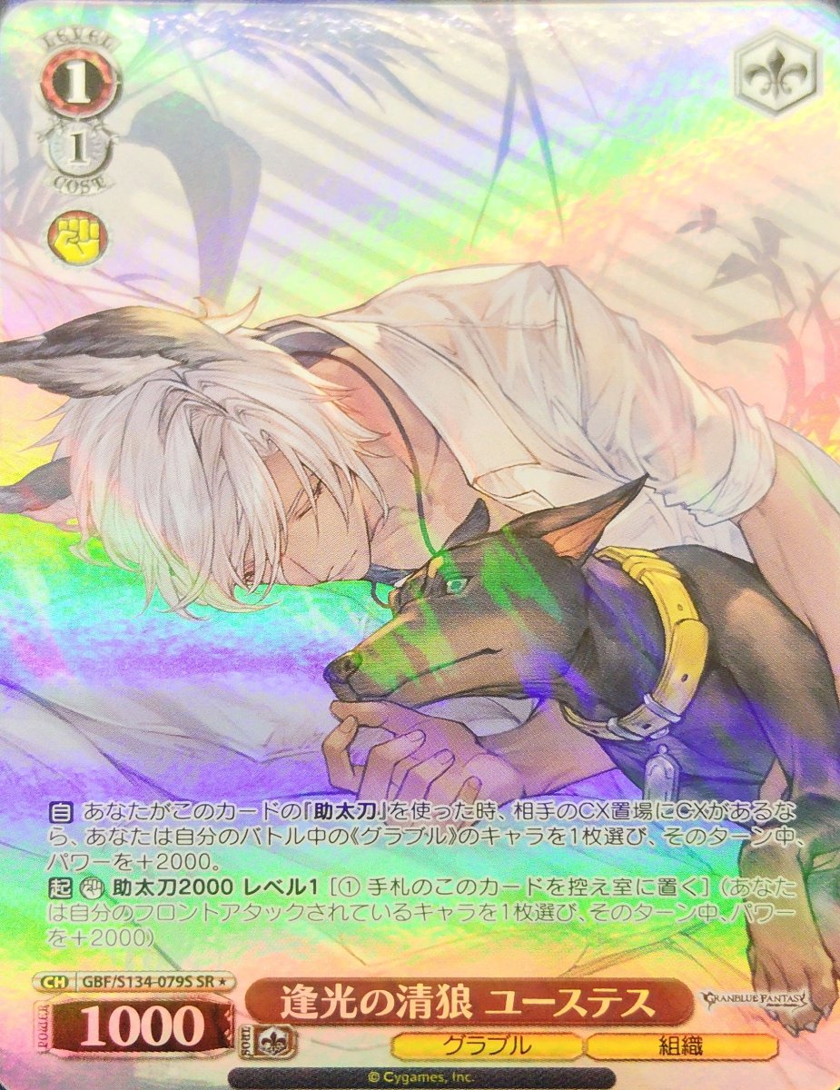 画像1: 逢光の清狼 ユーステス (GBF/S134-079S) - SR (1)