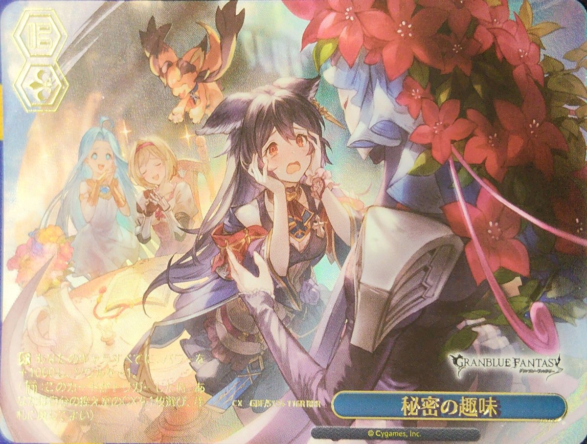 画像1: 秘密の趣味 (GBF/S134-116R) - RRR (1)