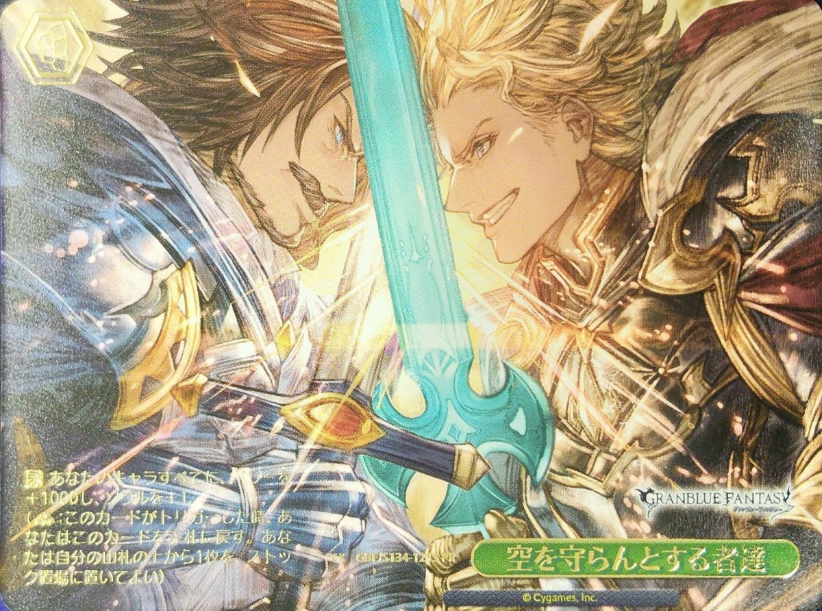 画像1: 空を守らんとする者達 (GBF/S134-121S) - PR (1)
