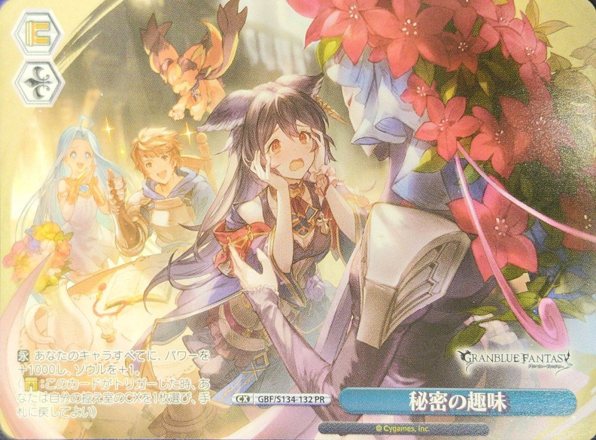 画像1: 秘密の趣味 (GBF/S134-132) - PR (1)