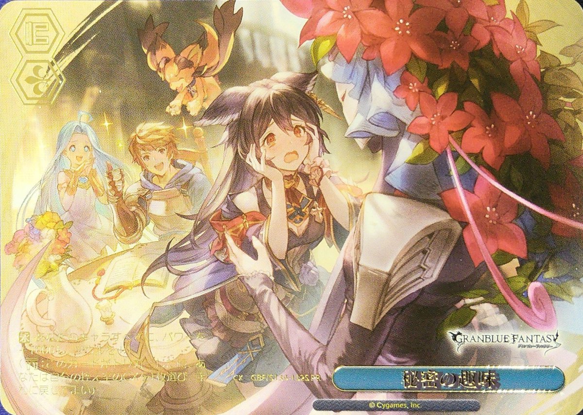 画像1: 秘密の趣味 (GBF/S134-132S) - PR (1)