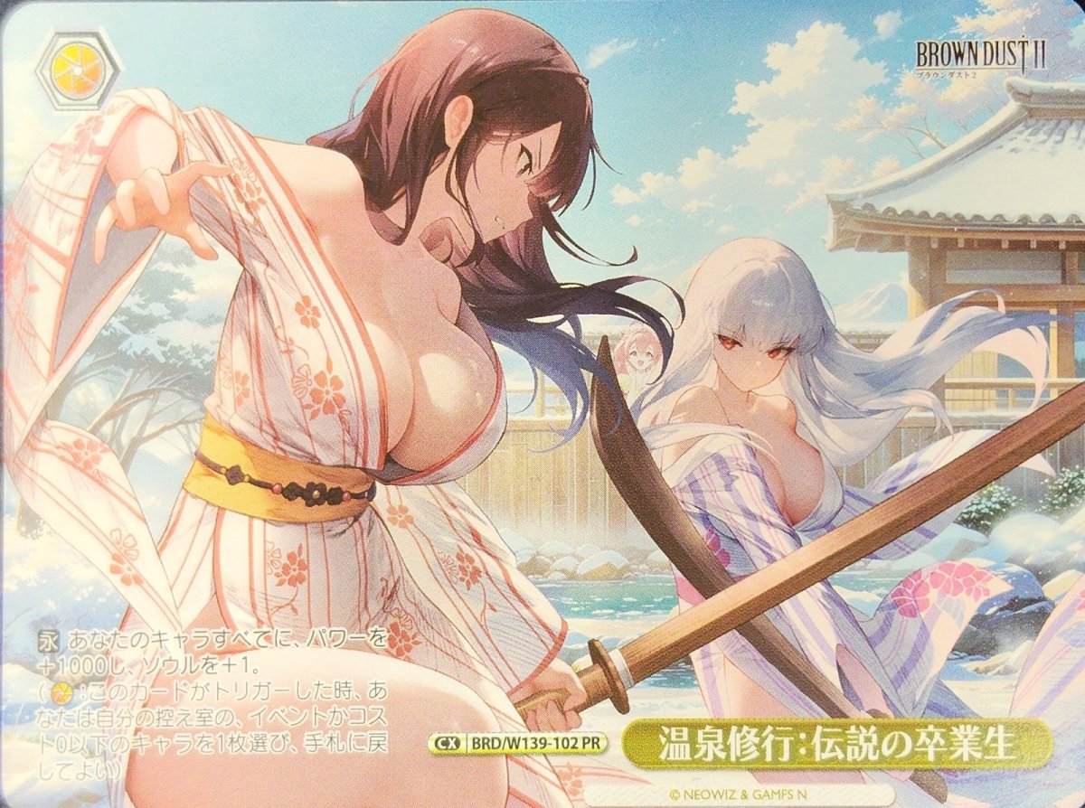 画像1: 温泉修行：伝説の卒業生 (BRD/W139-102) - PR (1)