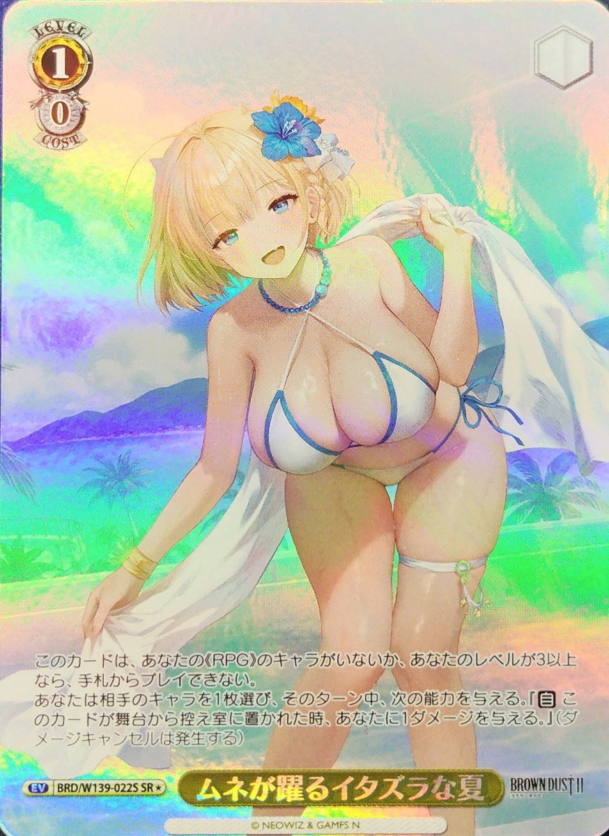 画像1: ムネが躍るイタズラな夏 (BRD/W139-022S) - SR (1)