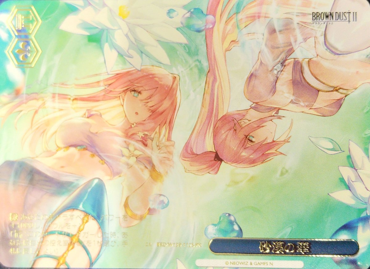 画像1: 砂漠の華 (BRD/W139-112S) - PR (1)