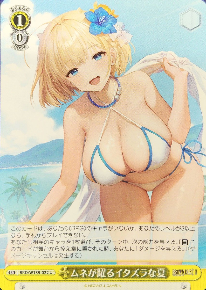 画像1: ムネが躍るイタズラな夏 (BRD/W139-022) - U (1)