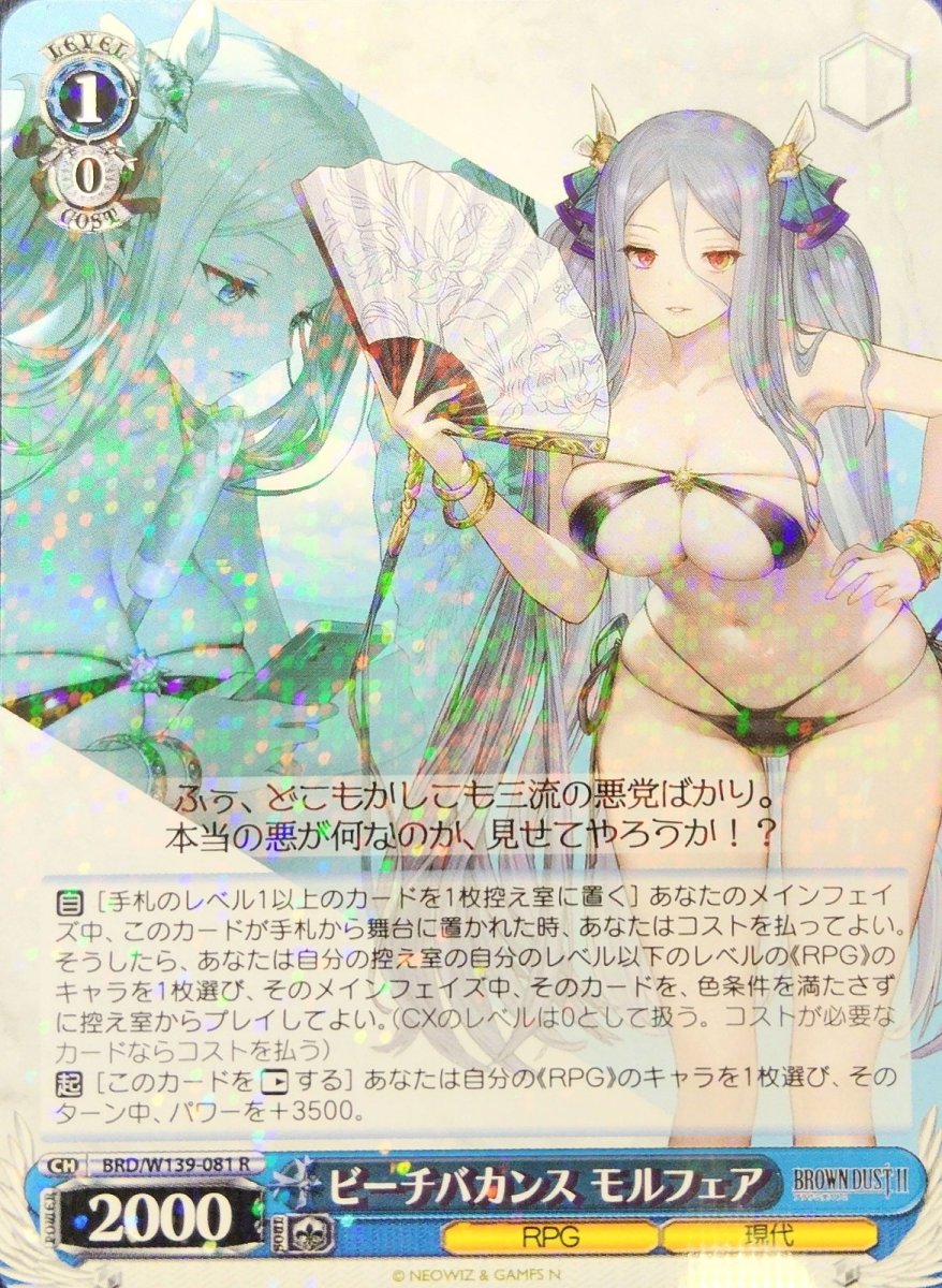 画像1: ビーチバカンス モルフェア (BRD/W139-081) - R (1)