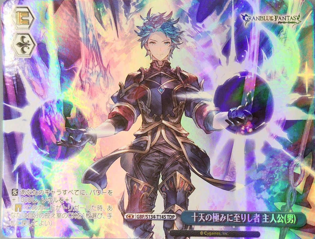 画像1:  十天の極みに至りし者 主人公(男) (GBF/S134-T14S) - TDP (1)
