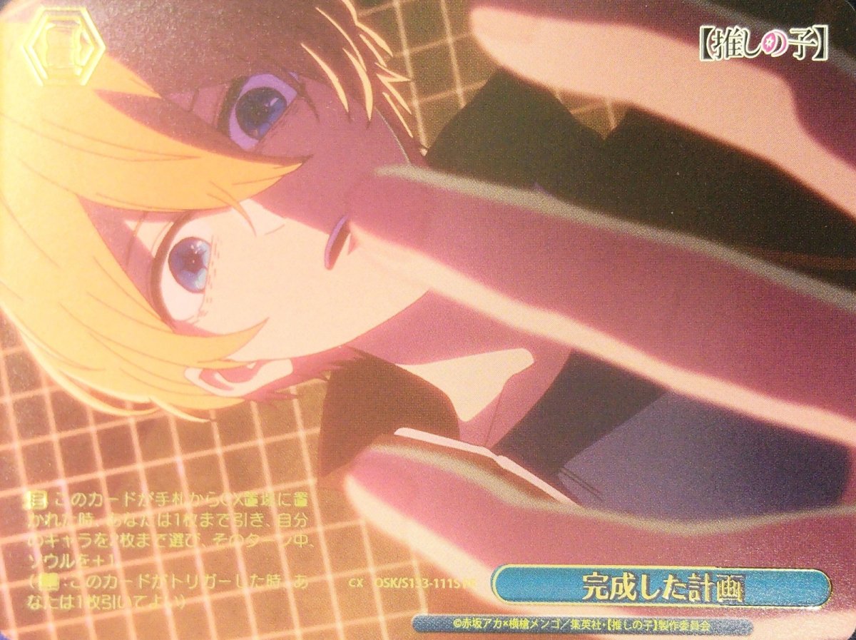 画像1: 完成した計画 (OSK/S133-111S) - PR (1)