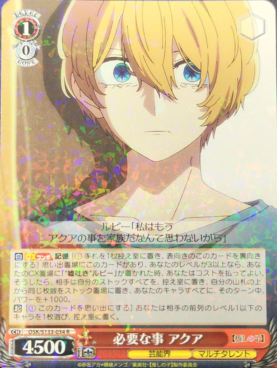 画像1: 必要な事 アクア (OSK/S133-034) - R (1)