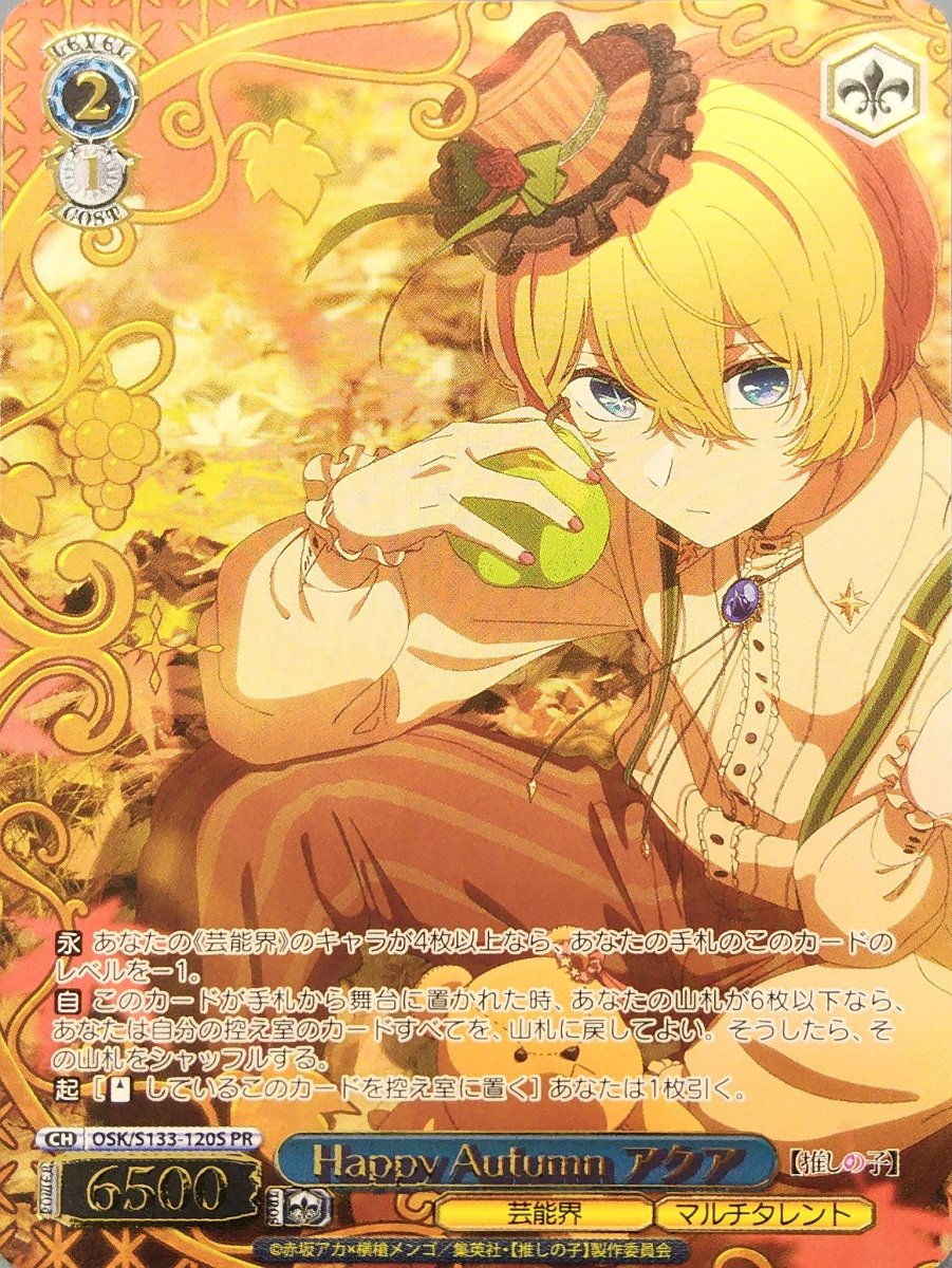 画像1:  Happy Autumn アクア (OSK/S133-120S) - PR (1)