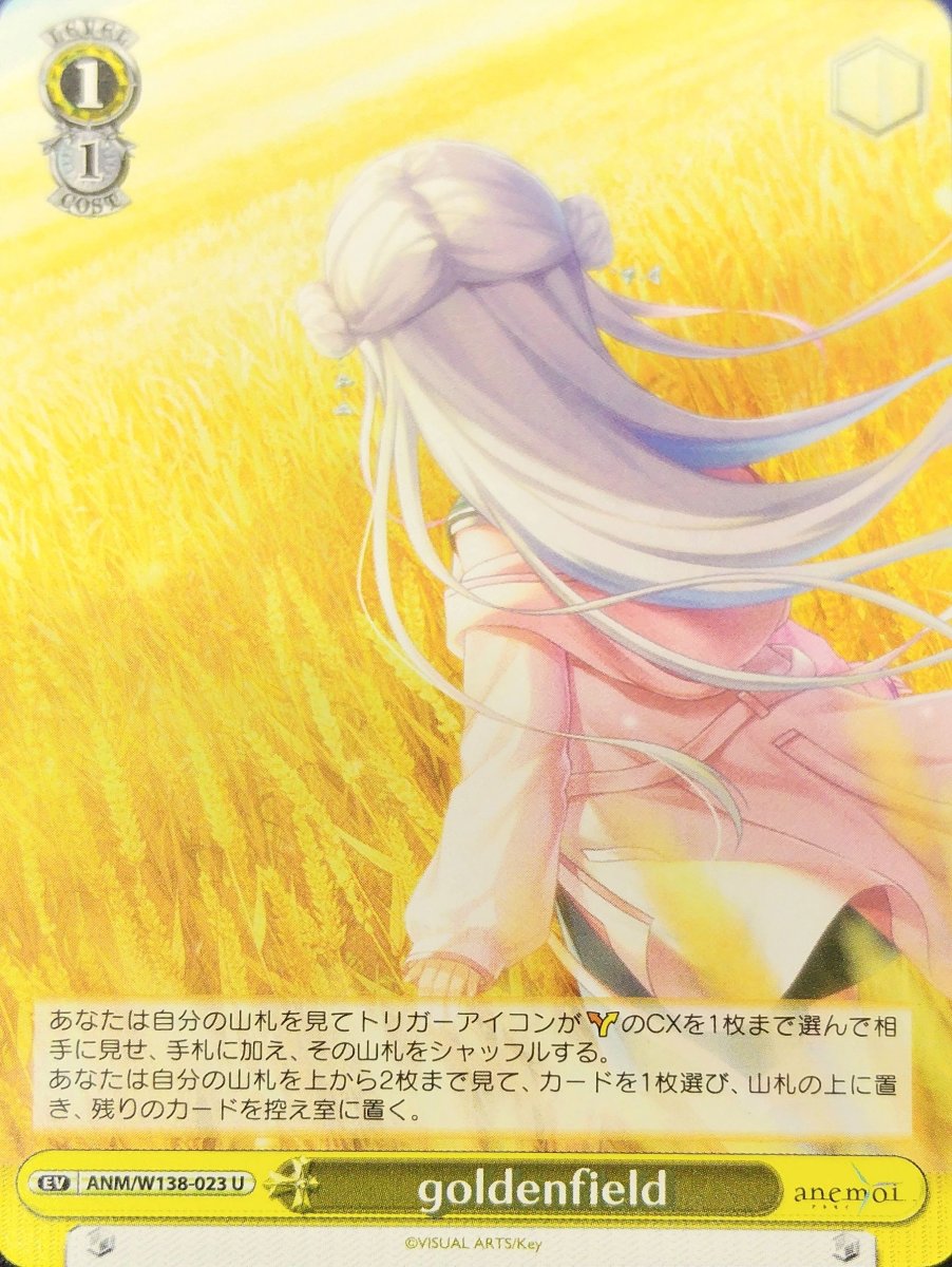 画像1: goldenfield (ANM/W138-023) - U (1)