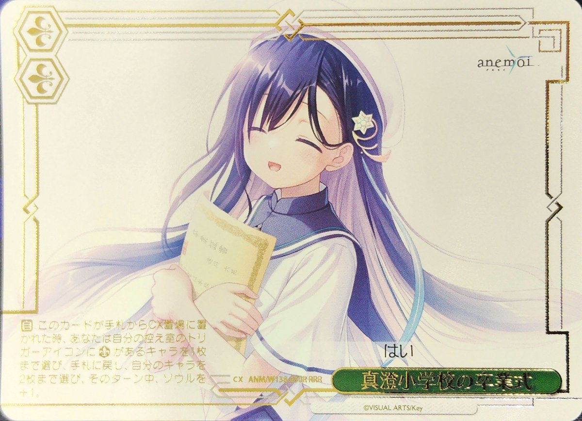 画像1: 真澄小学校の卒業式 (ANM/W138-050R) - RRR (1)