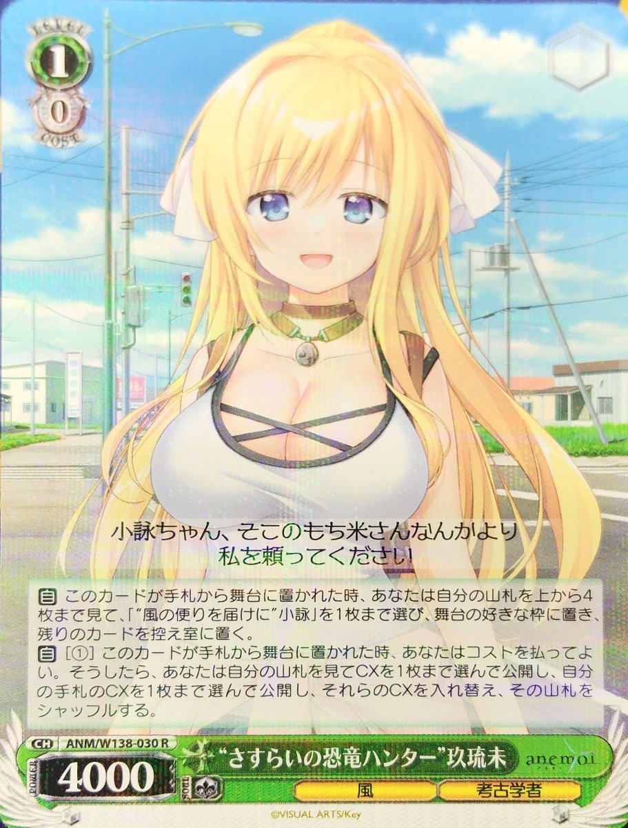 画像1: “さすらいの恐竜ハンター”玖琉未 (ANM/W138-030) - R (1)