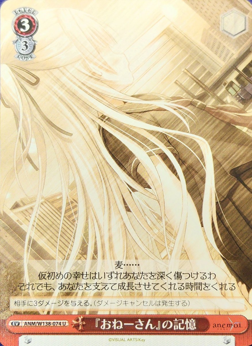 画像1: 『おねーさん』の記憶 (ANM/W138-074) - U (1)