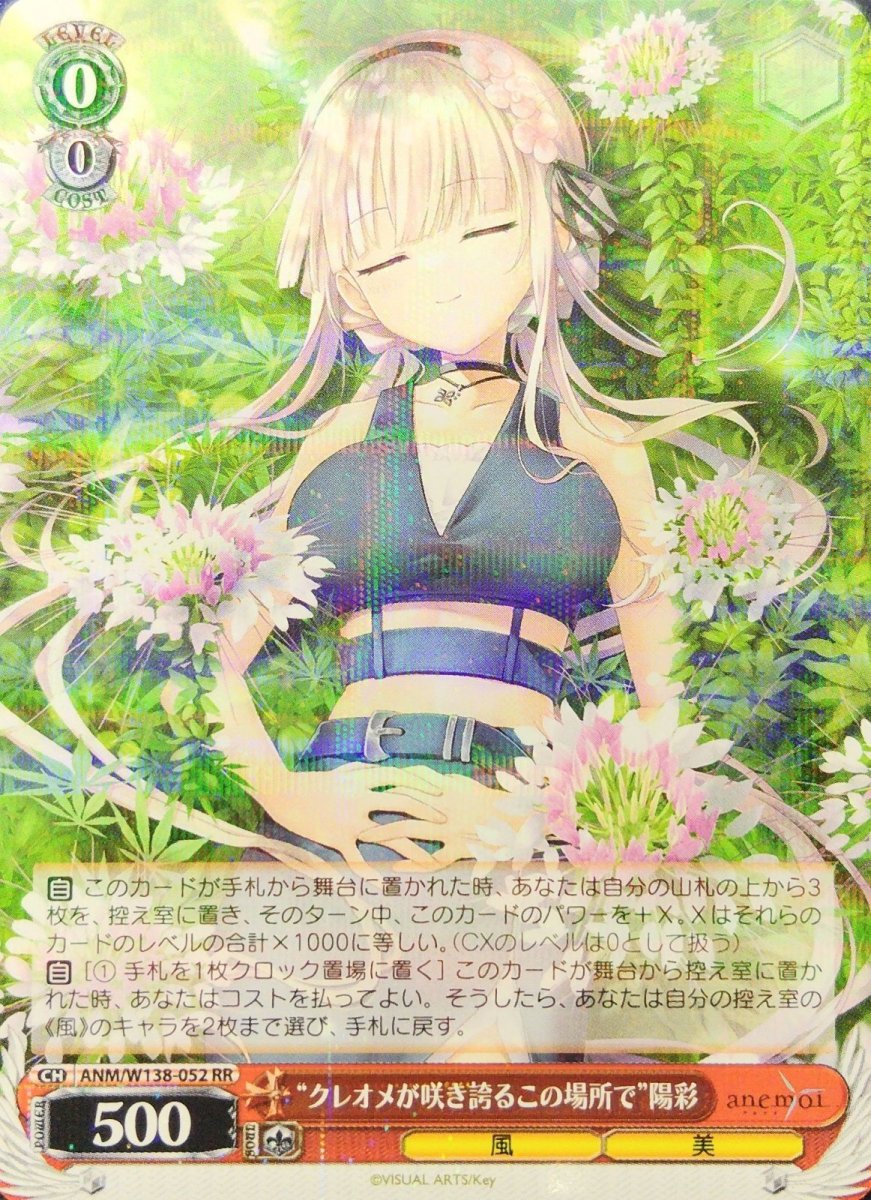 画像1: “クレオメが咲き誇るこの場所で”陽彩 (ANM/W138-052) - RR (1)