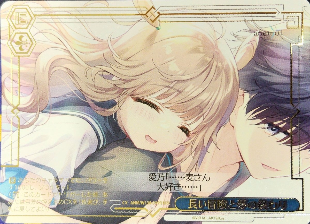 画像1: 長い冒険と夢の終わり (ANM/W138-099R) - RRR (1)