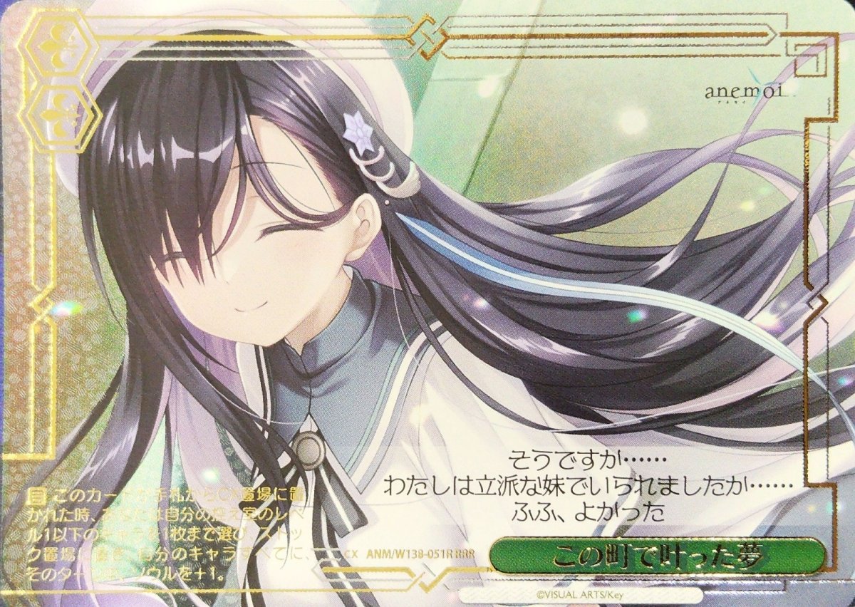 画像1: この町で叶った夢 (ANM/W138-051R) - RRR (1)