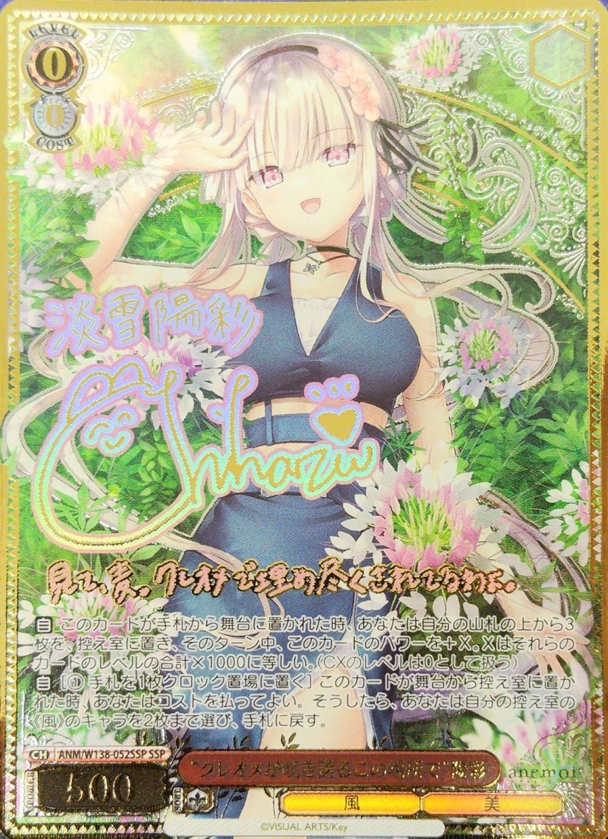 画像1: “クレオメが咲き誇るこの場所で”陽彩 (ANM/W138-052SSP) - SSP (1)