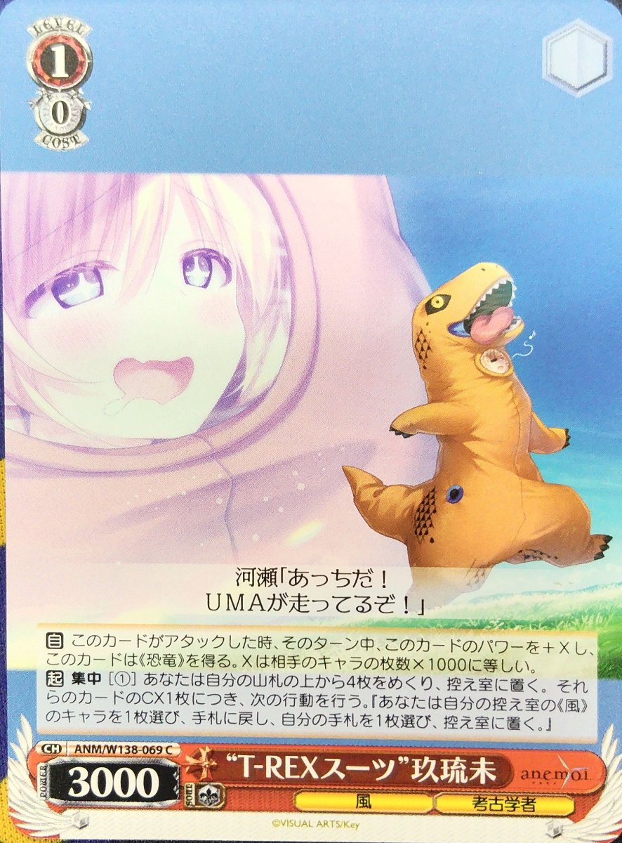 画像1: “T-REXスーツ”玖琉未 (ANM/W138-069) - C (1)