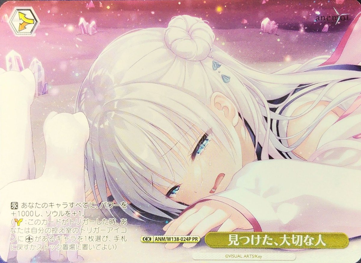 画像1: 見つけた、大切な人 (ANM/W138-024P) - PR (1)
