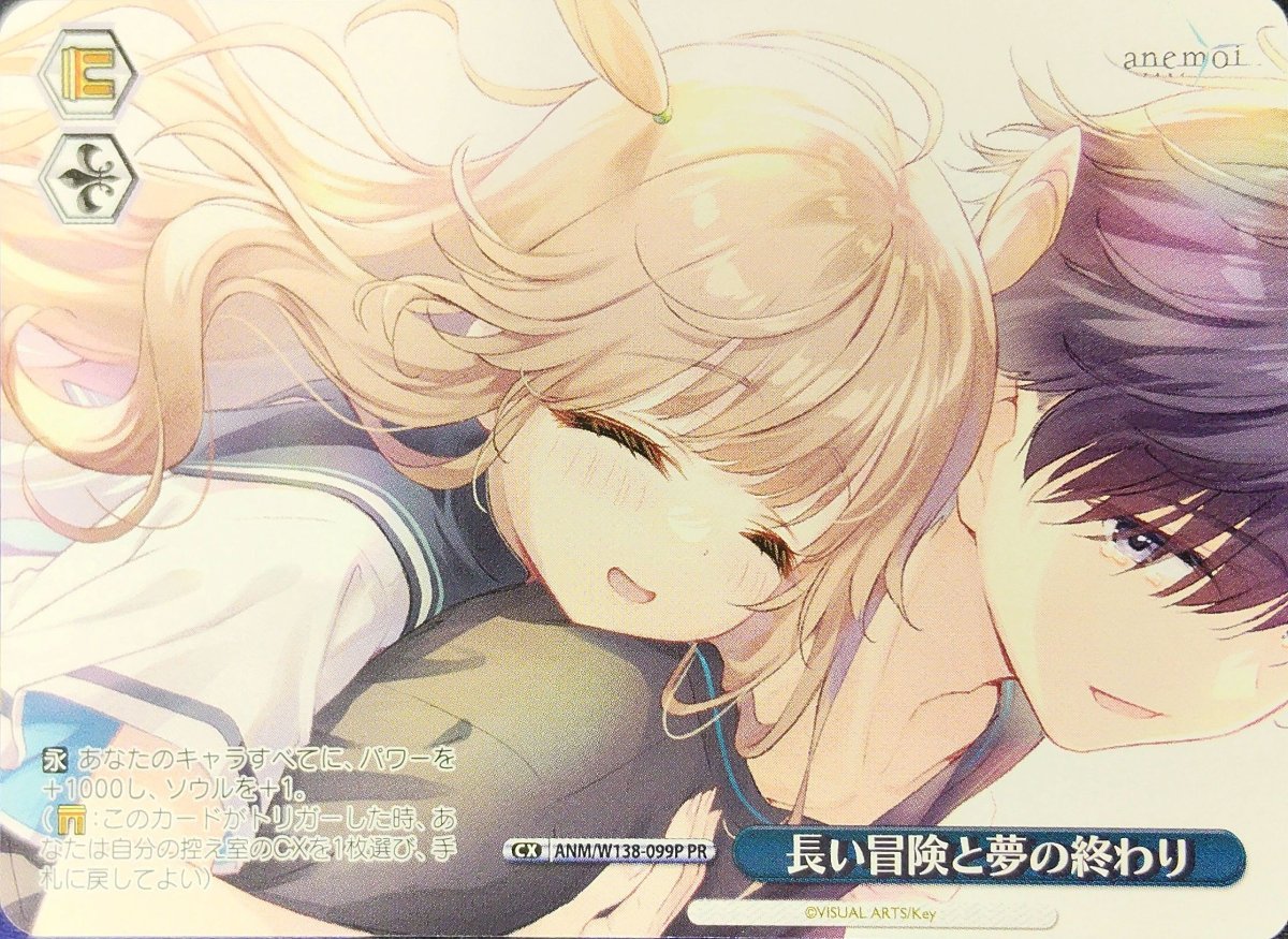 画像1: 長い冒険と夢の終わり (ANM/W138-099P) - PR (1)
