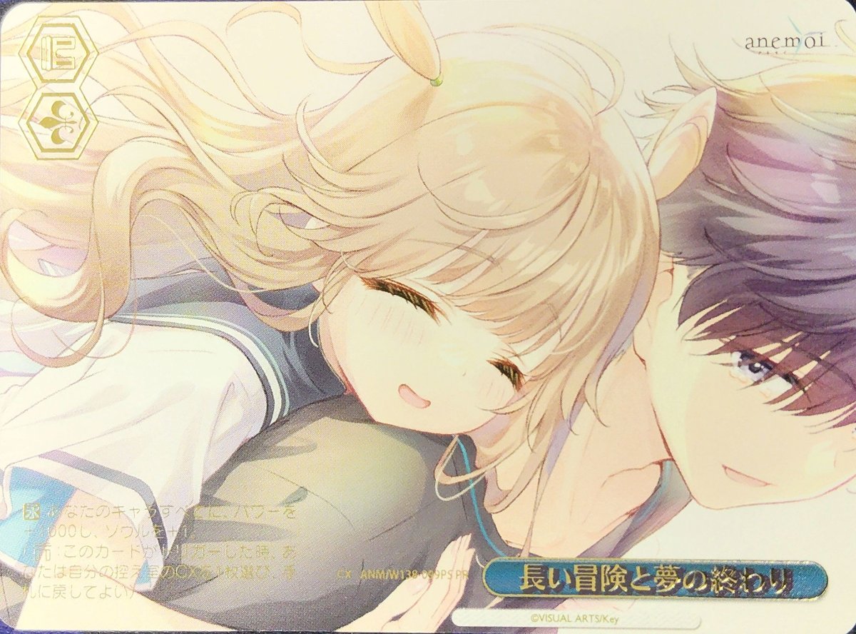 画像1: 長い冒険と夢の終わり (ANM/W138-099PS) - PR (1)