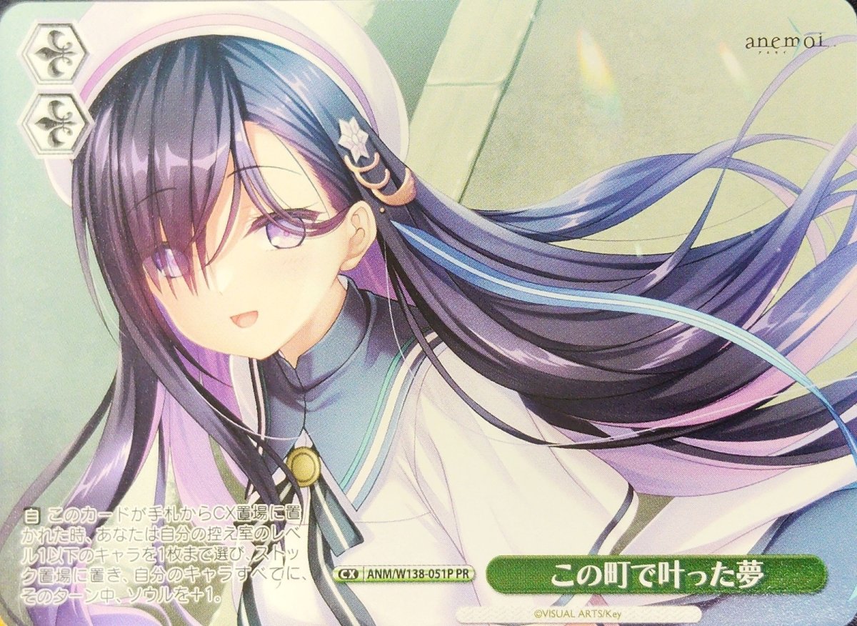 画像1: この町で叶った夢 (ANM/W138-051P) - PR (1)