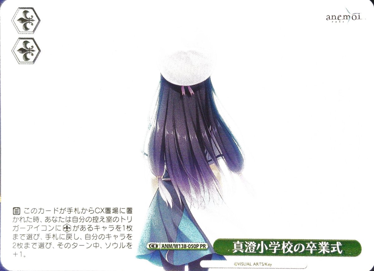 画像1: 真澄小学校の卒業式 (ANM/W138-050P) - PR (1)