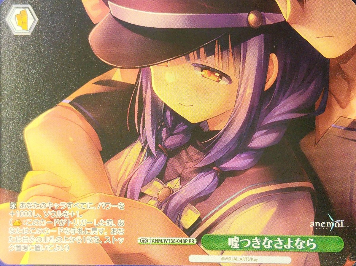 画像1: 嘘つきなさよなら (ANM/W138-048P) - PR (1)