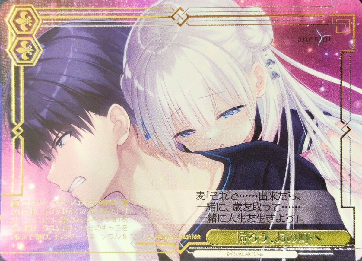 画像1: 帰ろう、あの町へ (ANM/W138-026R) - RRR (1)